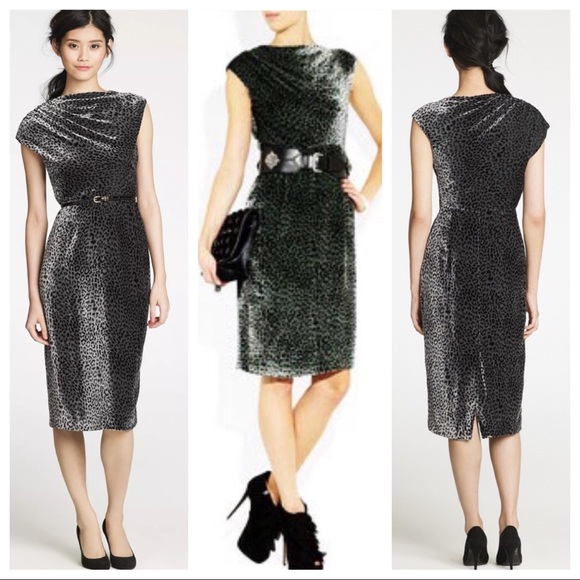 j crew velvet leopard dress